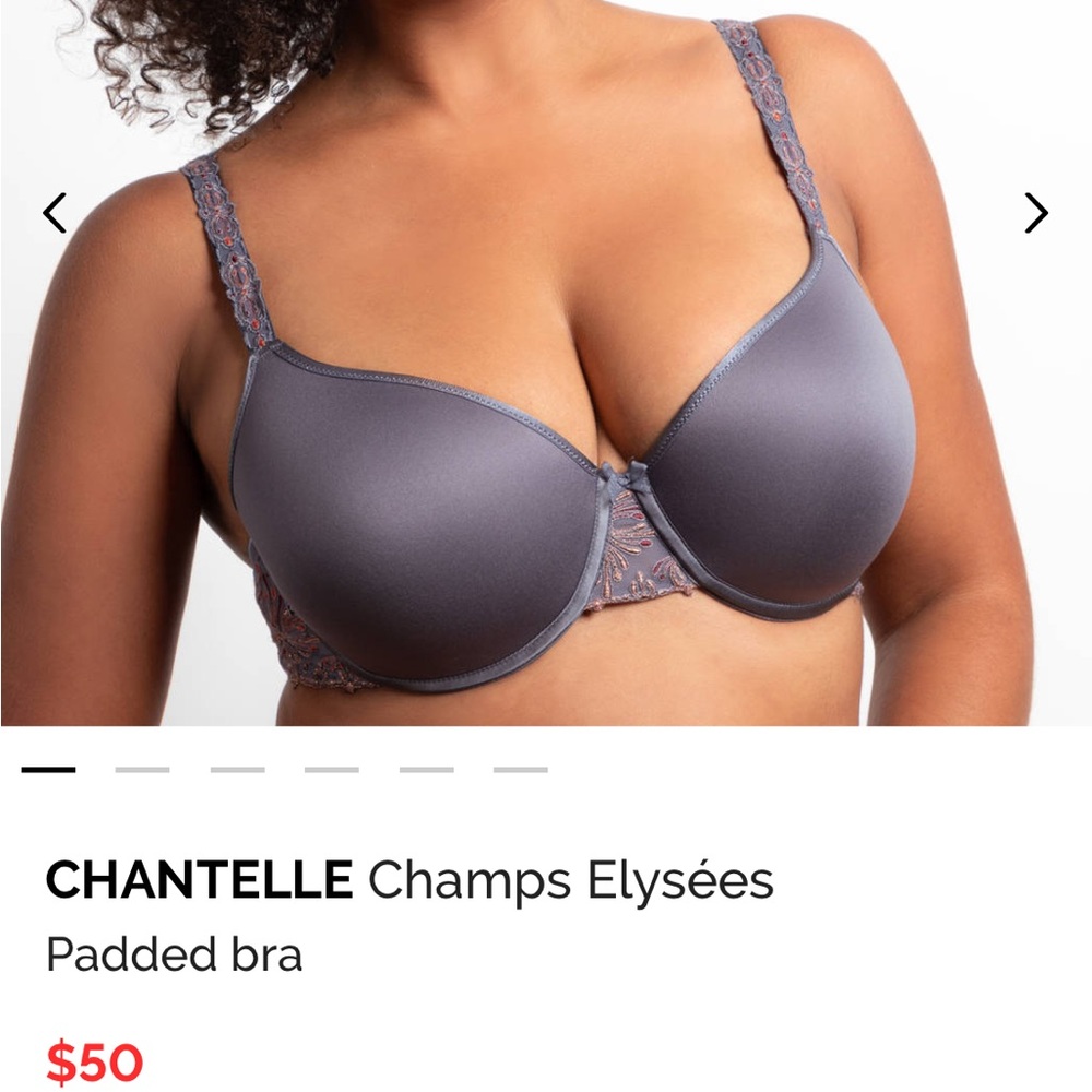 Chantelle Gray Full Coverage Padded Bra Champs Elysees
